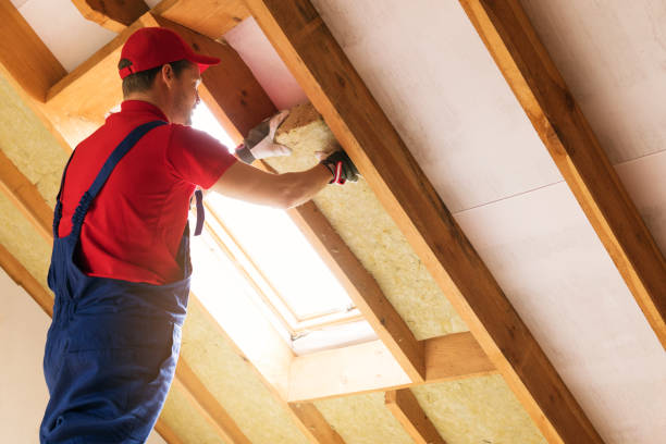 Best Batt and Roll Insulation  in Elmwood Park, IL